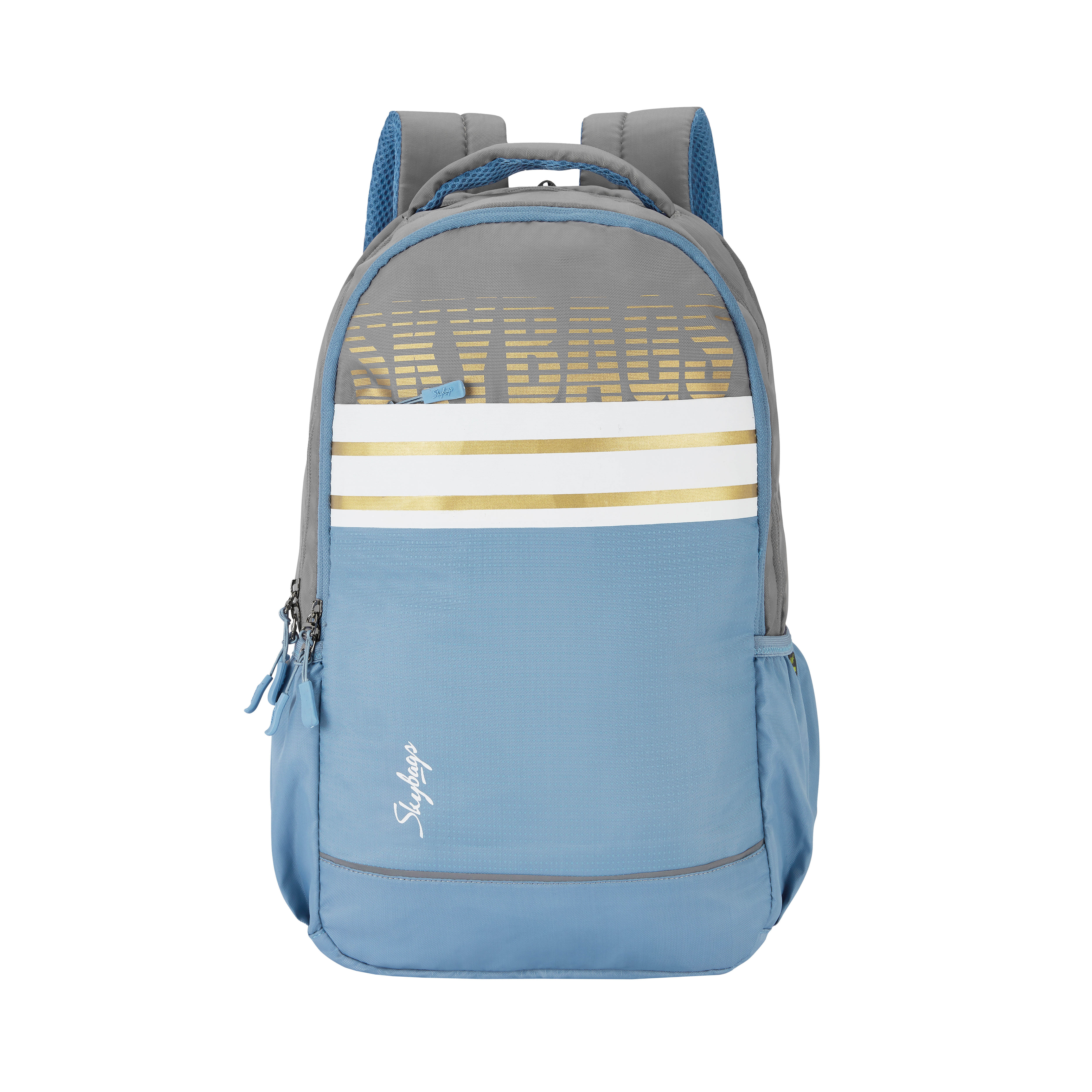 Buy Skybags Sky Bag New Model 2019 SKYBAGS FIGO PLUS 02 BACKPACK