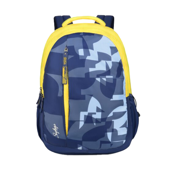School bag skybags price hot sale