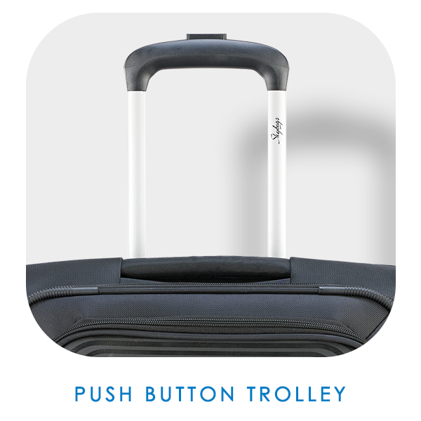 Skybags quartz trolley sales