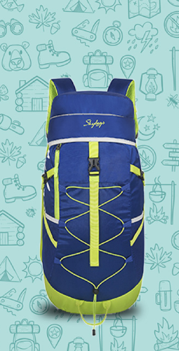 Skybags ladies handbags sale