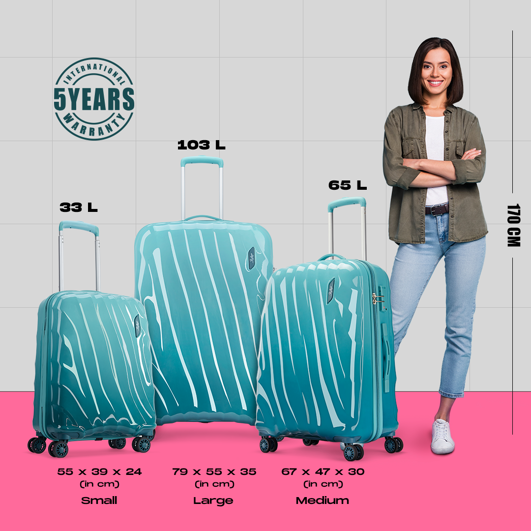 Update more than 64 skybags 24 inch trolley bag best - in.duhocakina