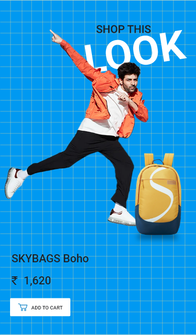Skybags top luggage price