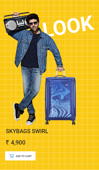 Buy skybags 2025 backpack online