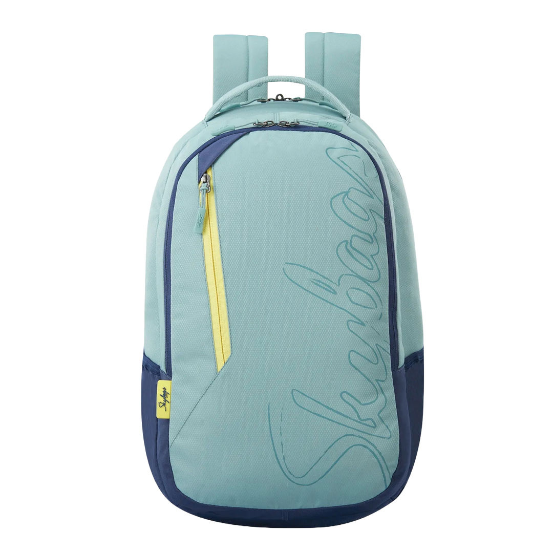 Skybags Campus 03 Laptop Backpack Grey