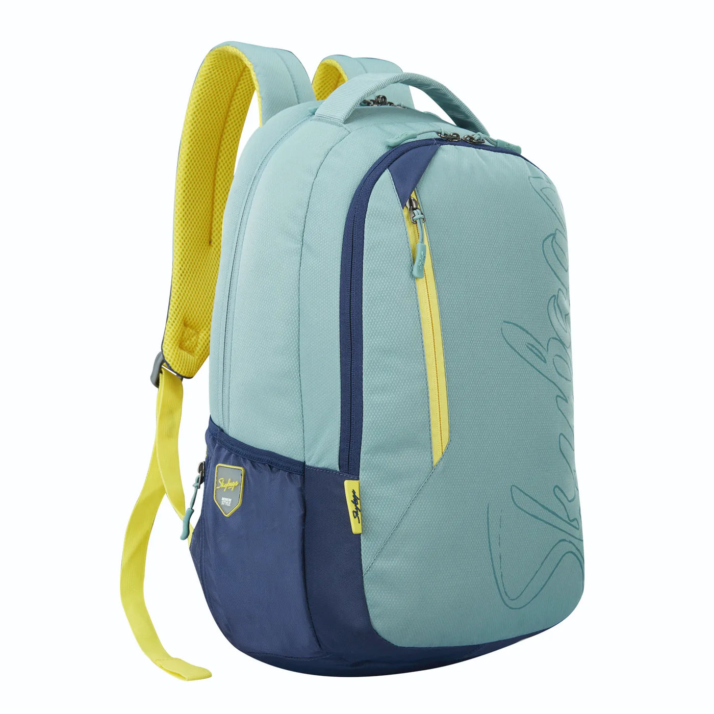 Skybags Campus 03 Laptop Backpack Grey