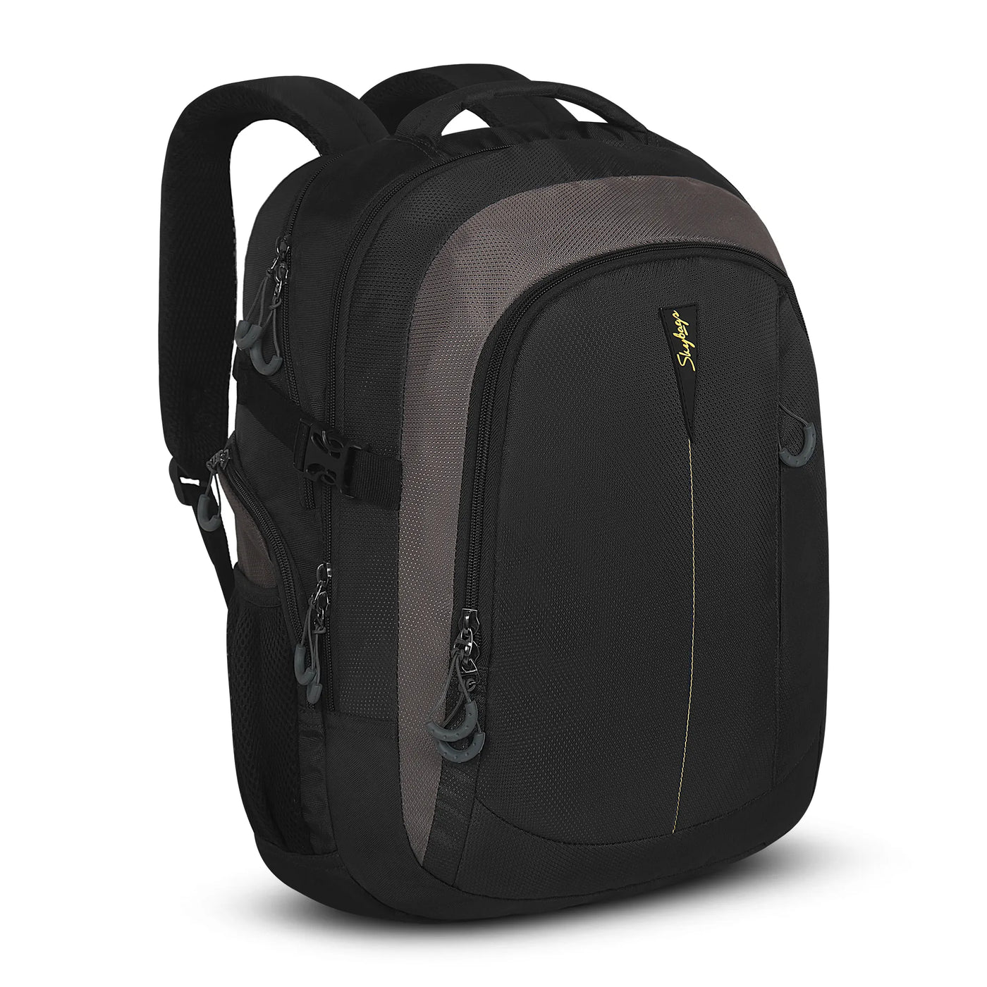 Skybags top business bags